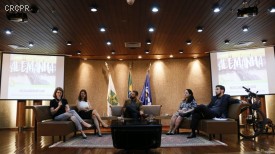 Imagem 8